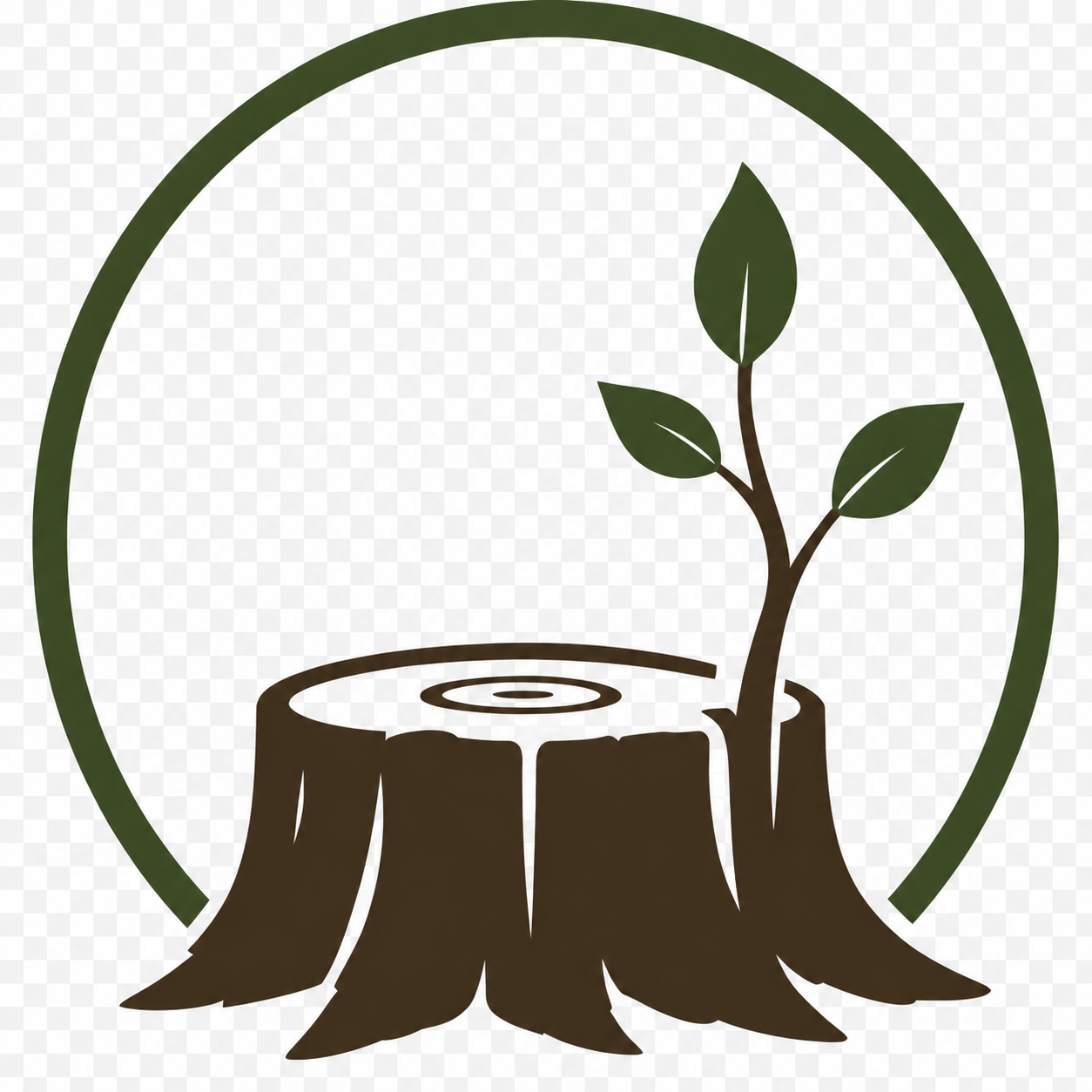 RootedRise: Spiritual Direction/Coaching