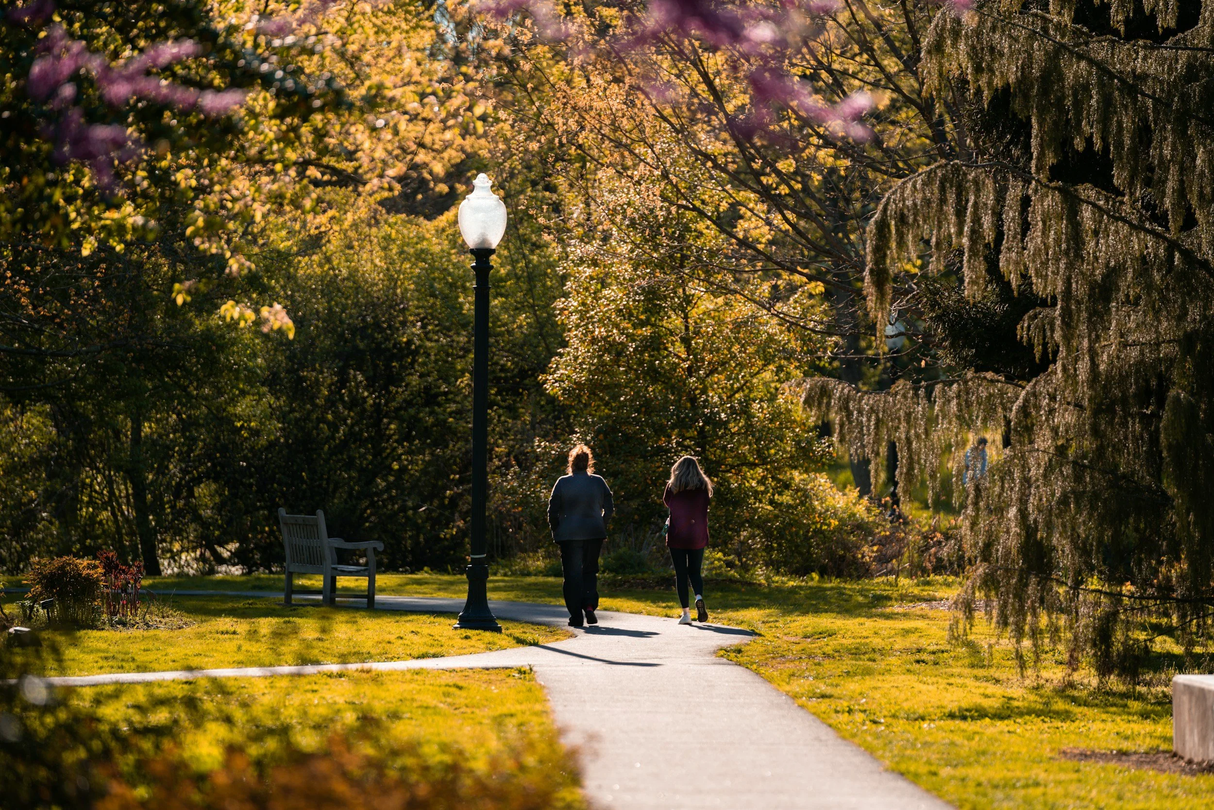 Two people walking down a paved pathway in a park surrounded by lush green grass and numerous trees with blooming flowers and leaves in various shades of green, pink, and yellow, illuminated by warm sunlight in the late afternoon or early evening.