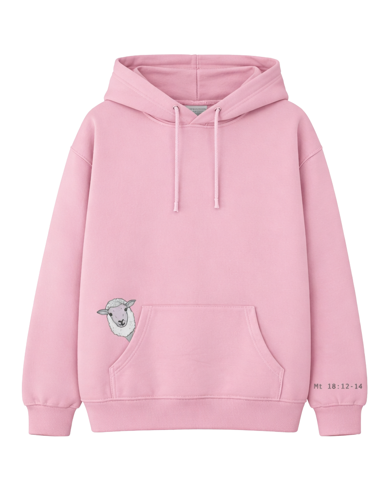 roza majica_Mt 18, 12-14