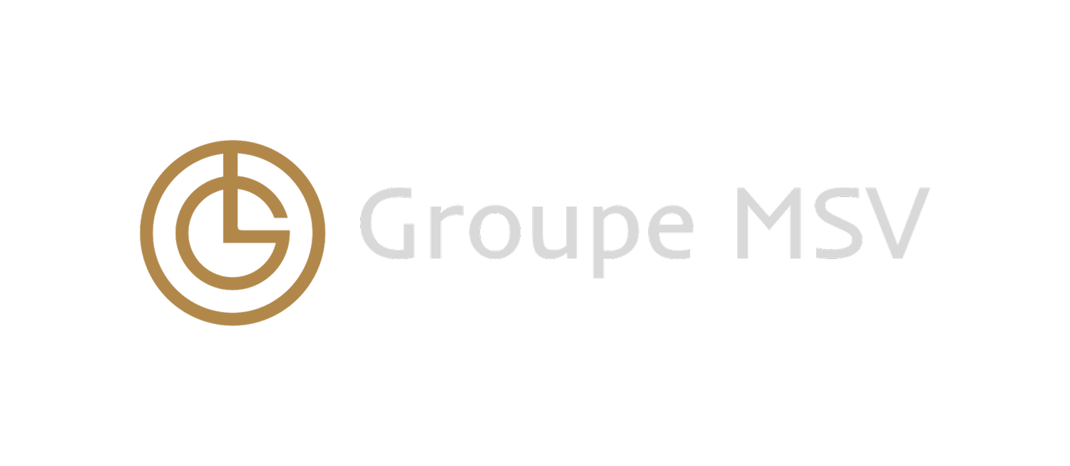 Groupe MSV | Collaboration stratégique et opérationnelle