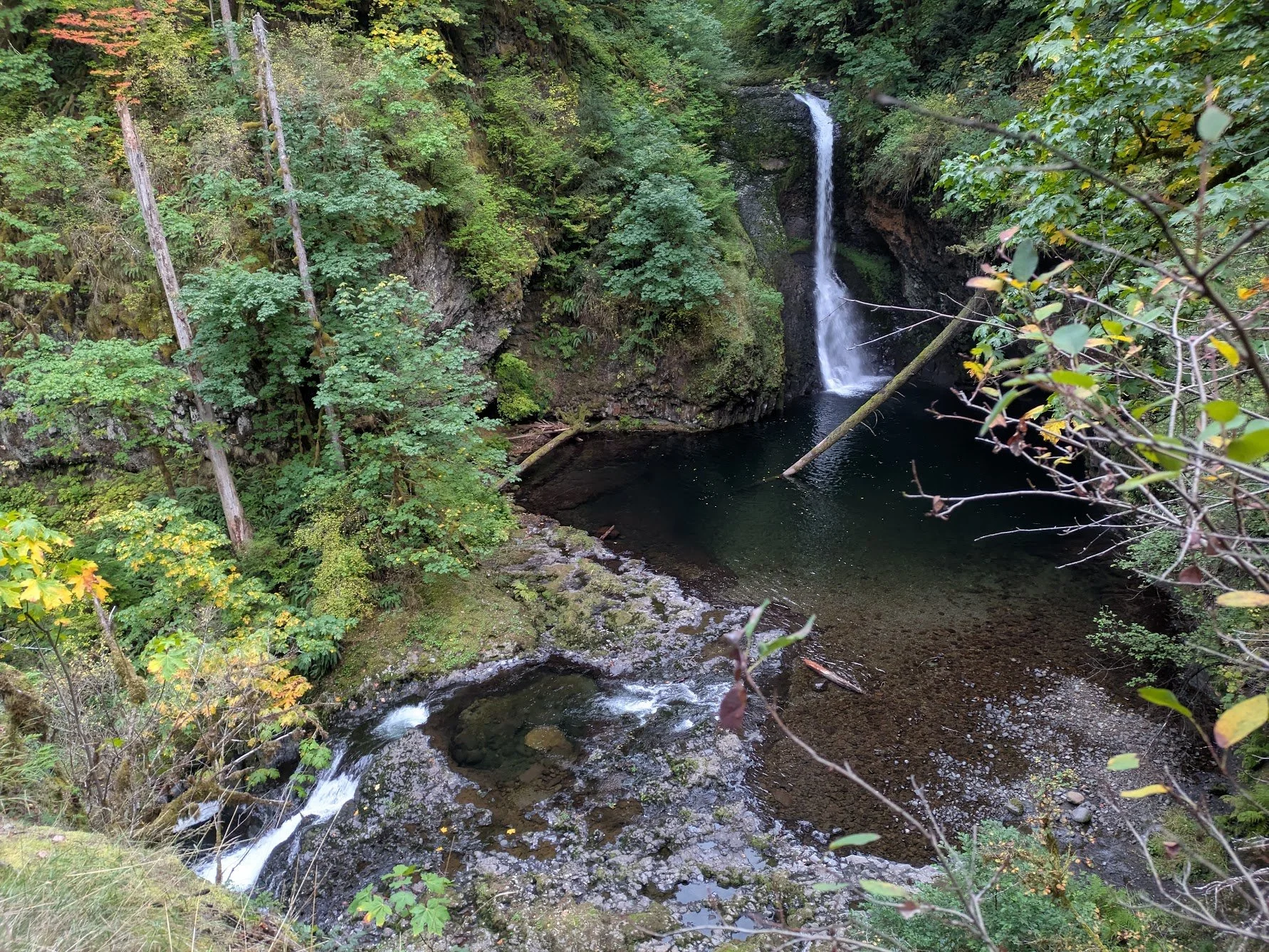 A waterfall cascading into a dark pool surrounded by green forest trees.