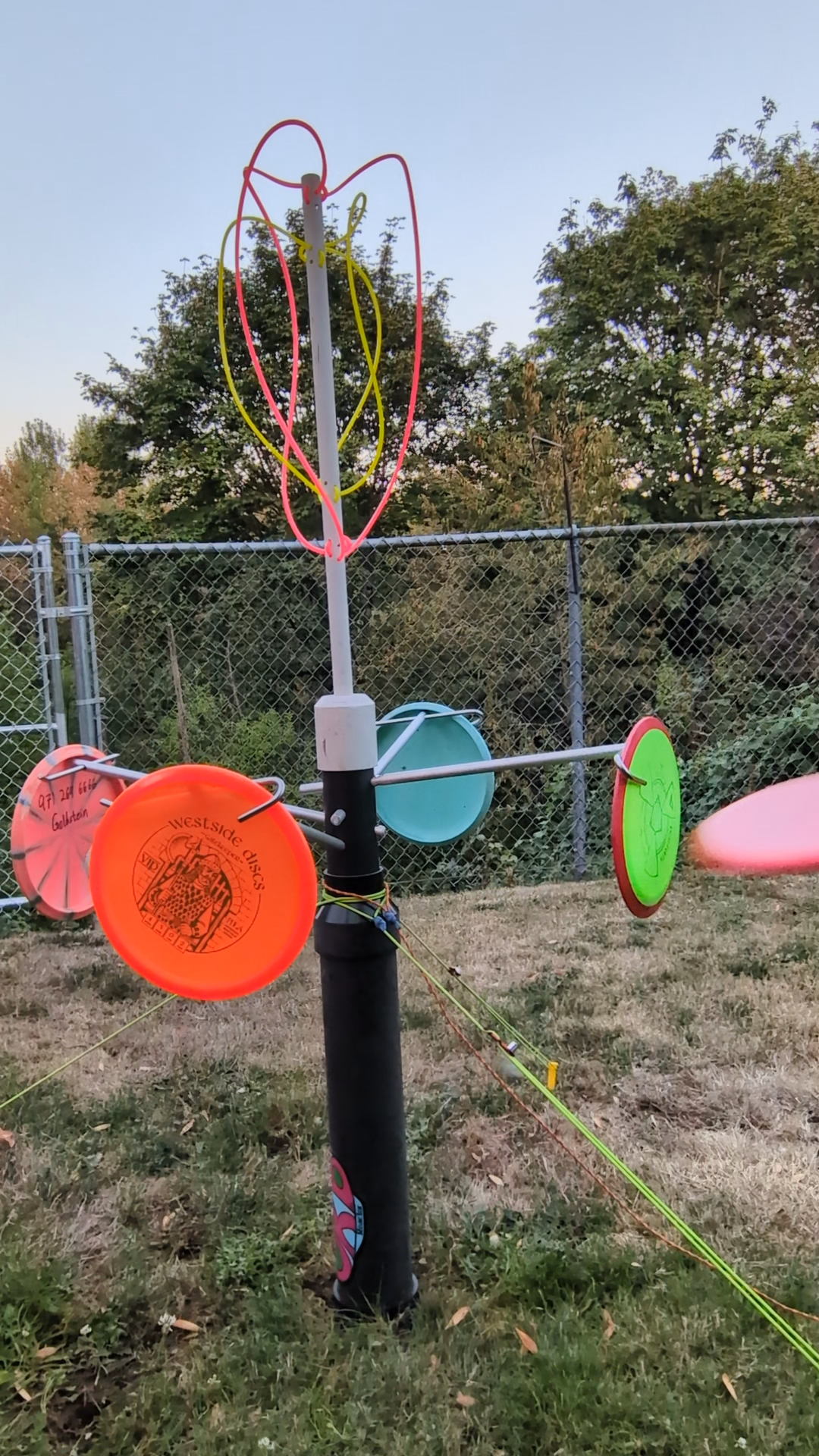 Colorful kite with multiple hoops and strings attached, set up outdoors near a chain-link fence, with trees in the background.