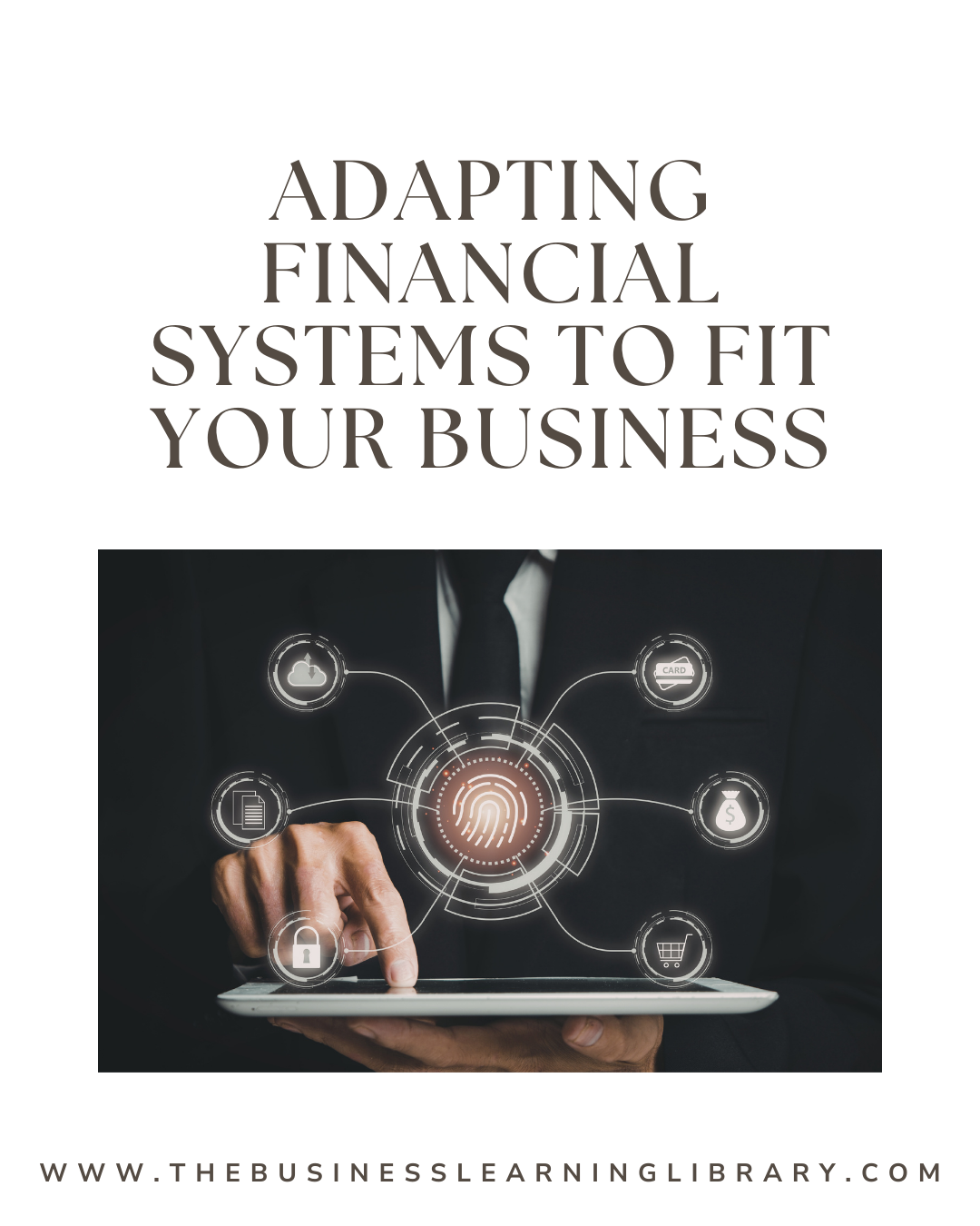 Adapting Financial Systems to Fit Your Business