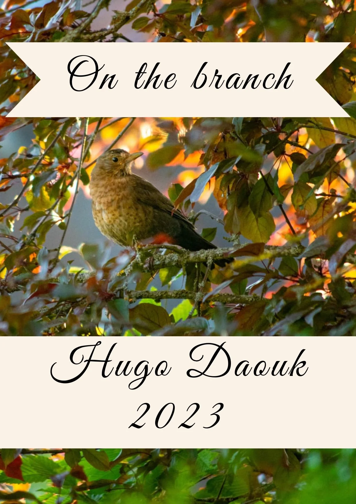 On the branch/ Auf dem Ast (2023)