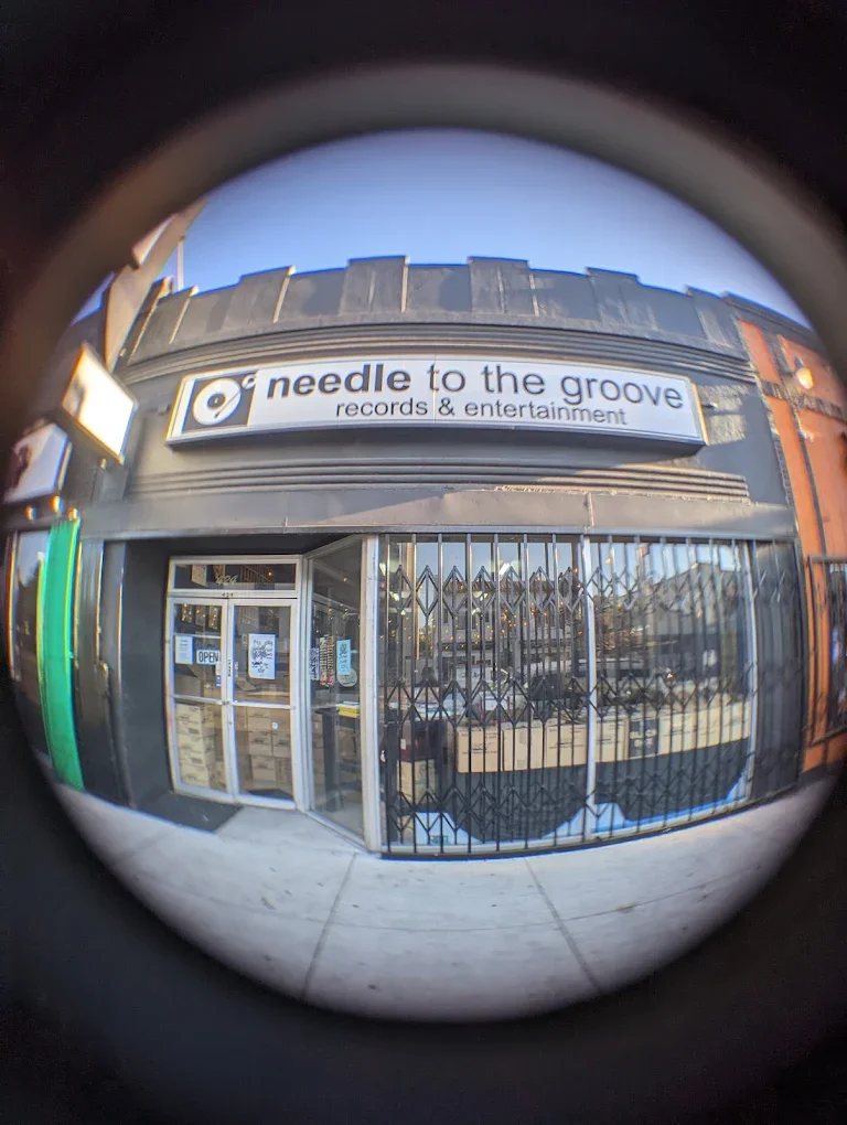 Needle to the Groove Records in San Jose California