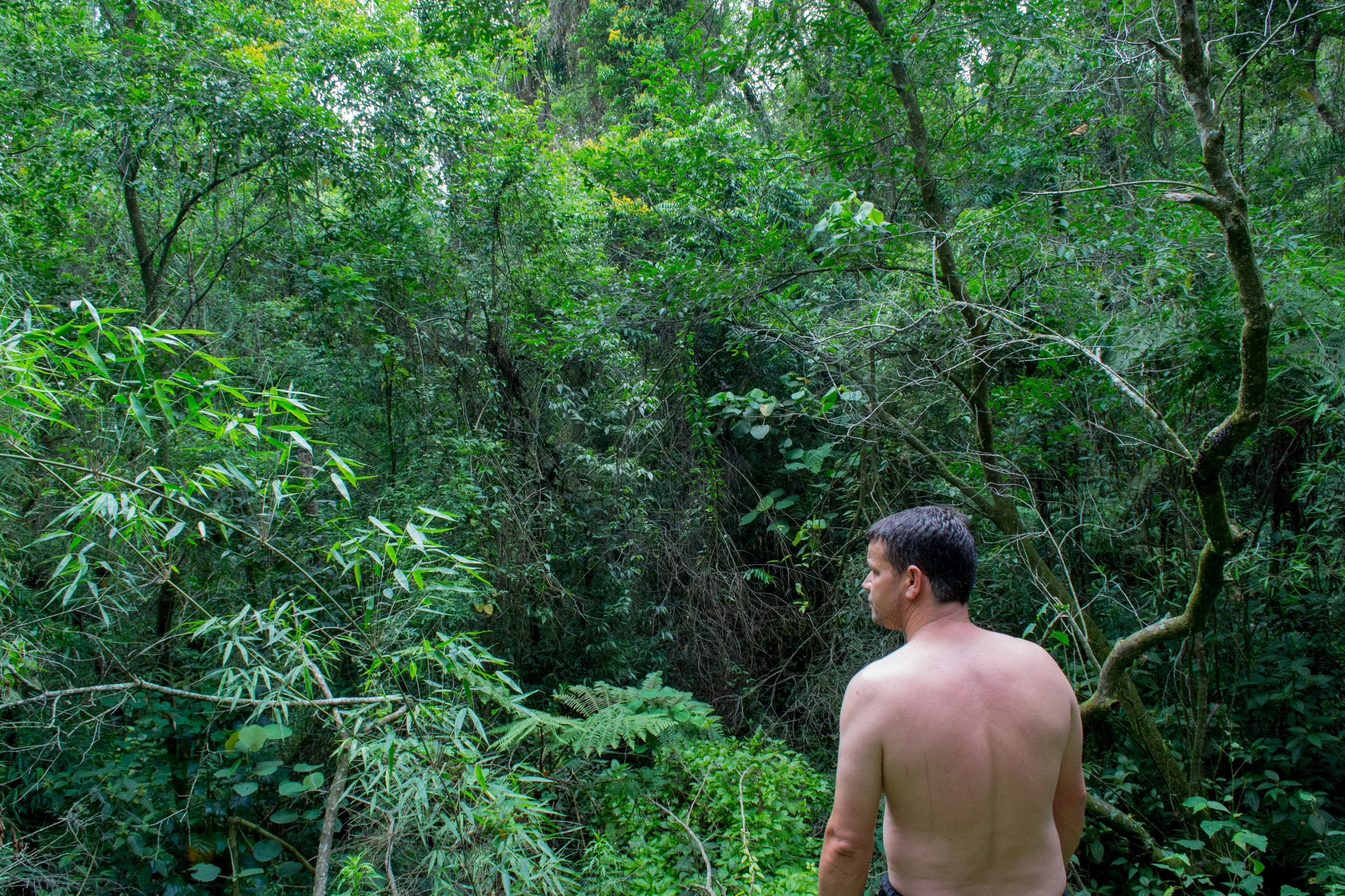 Homem sem camisa na floresta densa e verdejante, visto de costas.