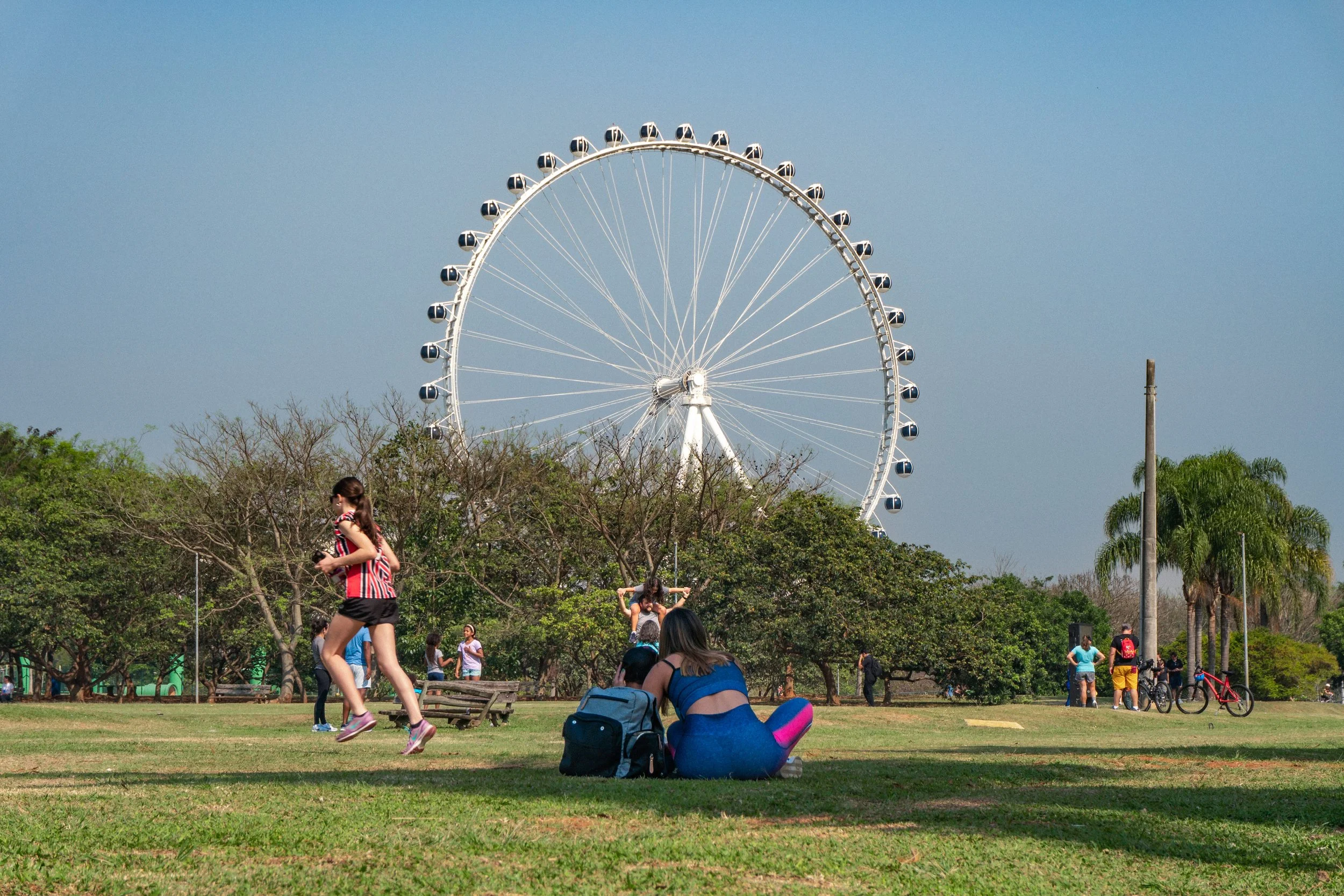 Parque com um parque de diversões com uma roda gigante ao fundo, várias pessoas descansando, conversando e se divertindo na grama, árvores e um céu claro.