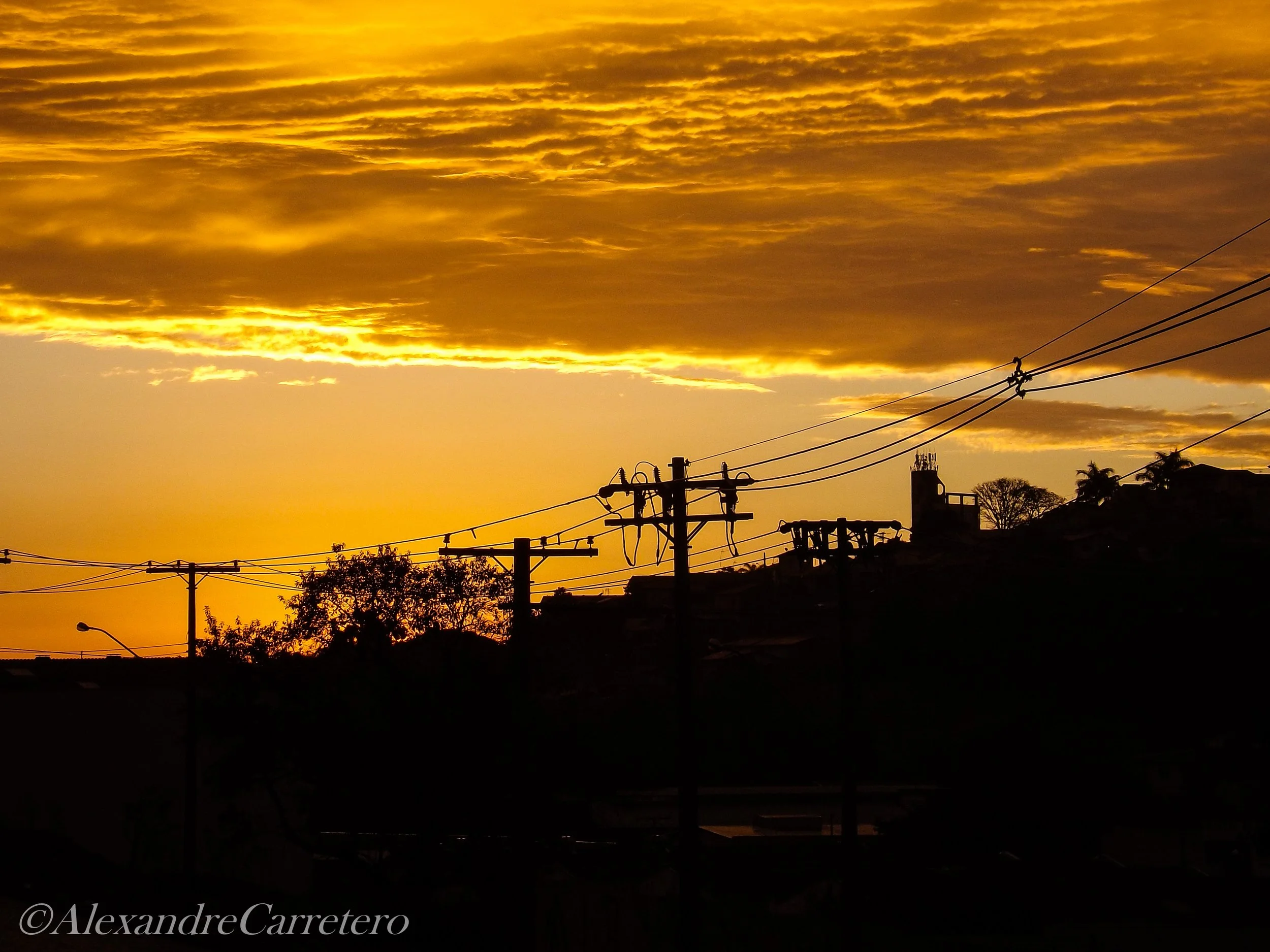 Silhueta de postes de energia elétrica e árvores contra um céu ao pôr do sol com nuvens amarelas e douradas.