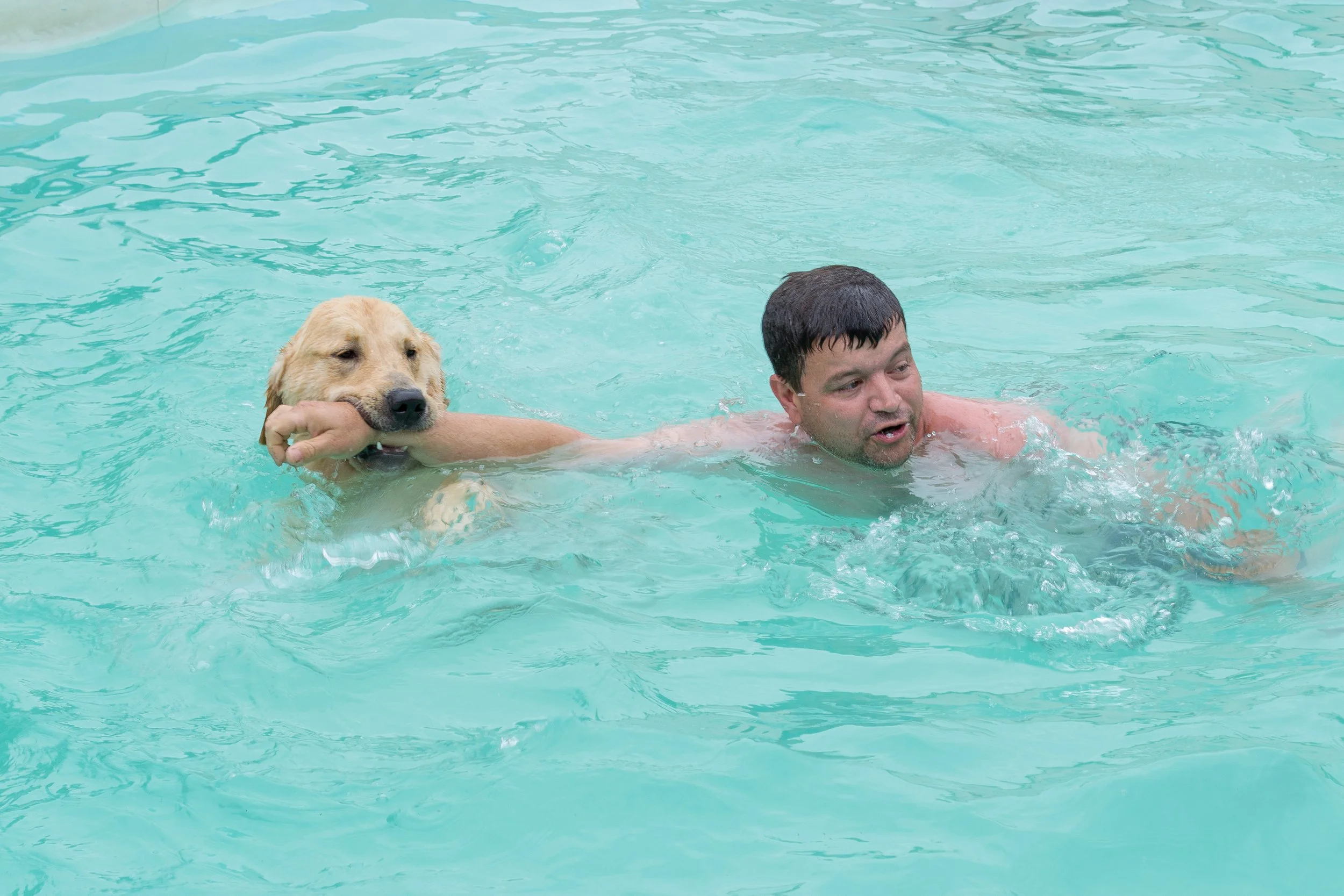Homem nadando na piscina com um cachorro Labrador, que está na água com sua cabeça apoiada na braço do homem.