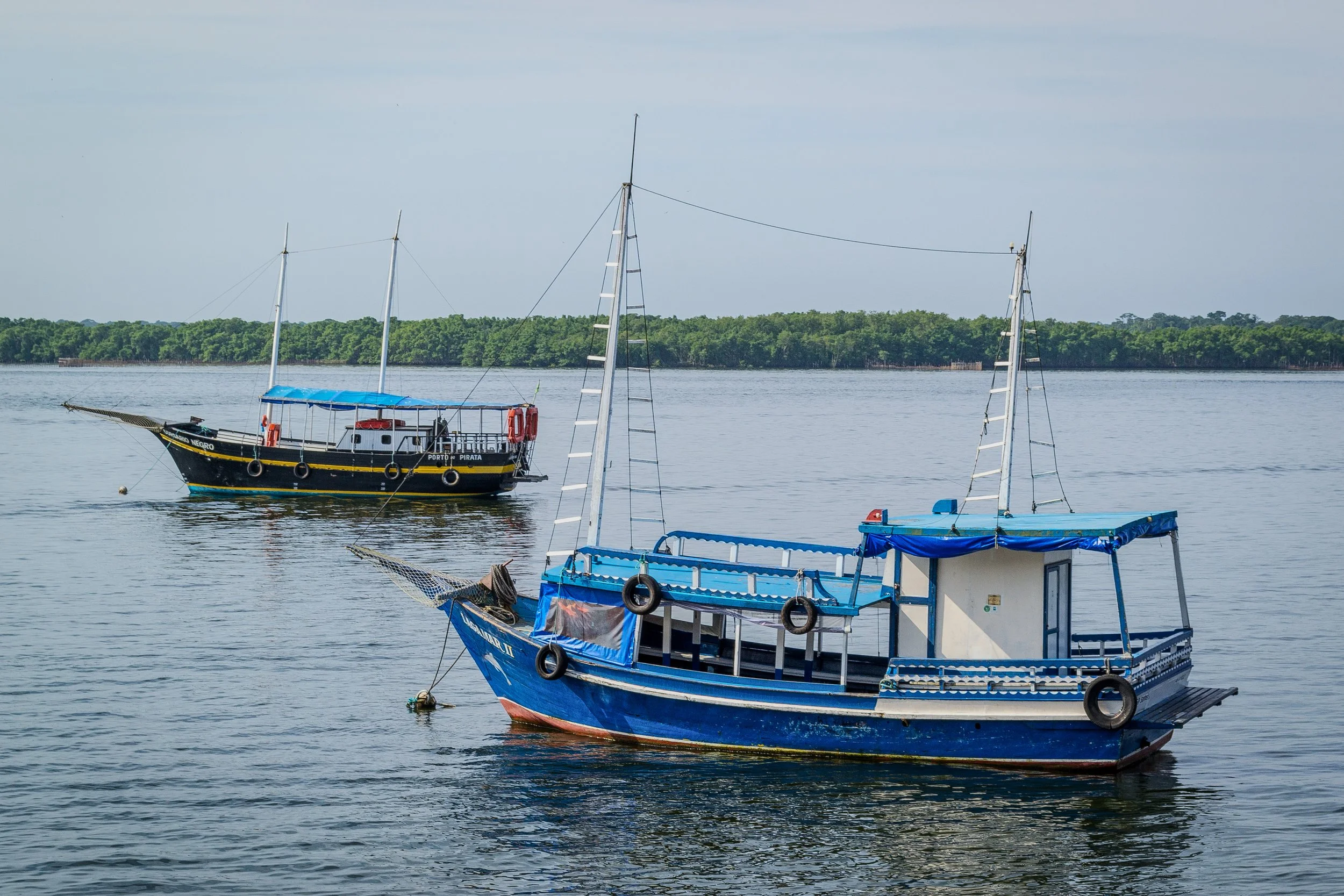 Dois barcos de pesca de cor azul na água calma com uma floresta ao fundo