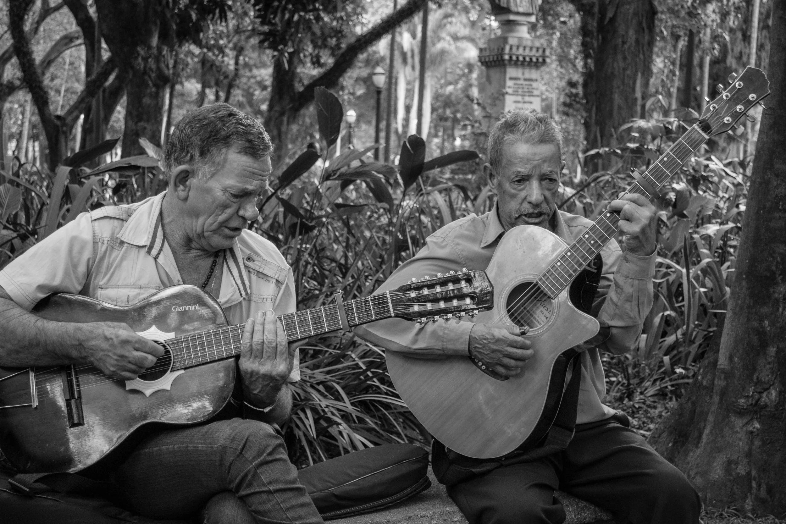 Dois homens idosos tocando violões enquanto cantam, sentados em um banco no parque, com árvores e plantas ao redor.
