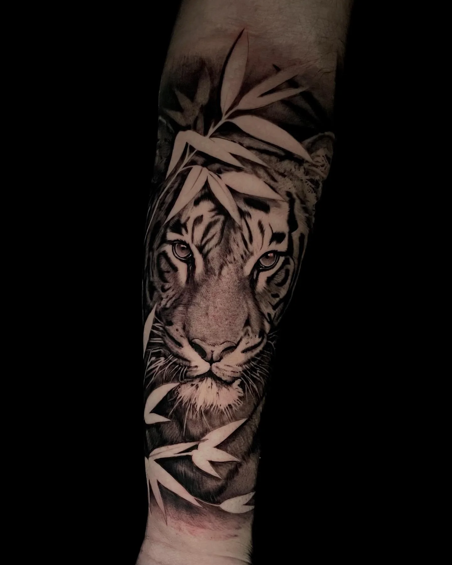 Kitty 🐅
.
.
.
#tattooartist #njtattooartist #tigertattoo #blackandgreytattoo #femaletattooartist #realism