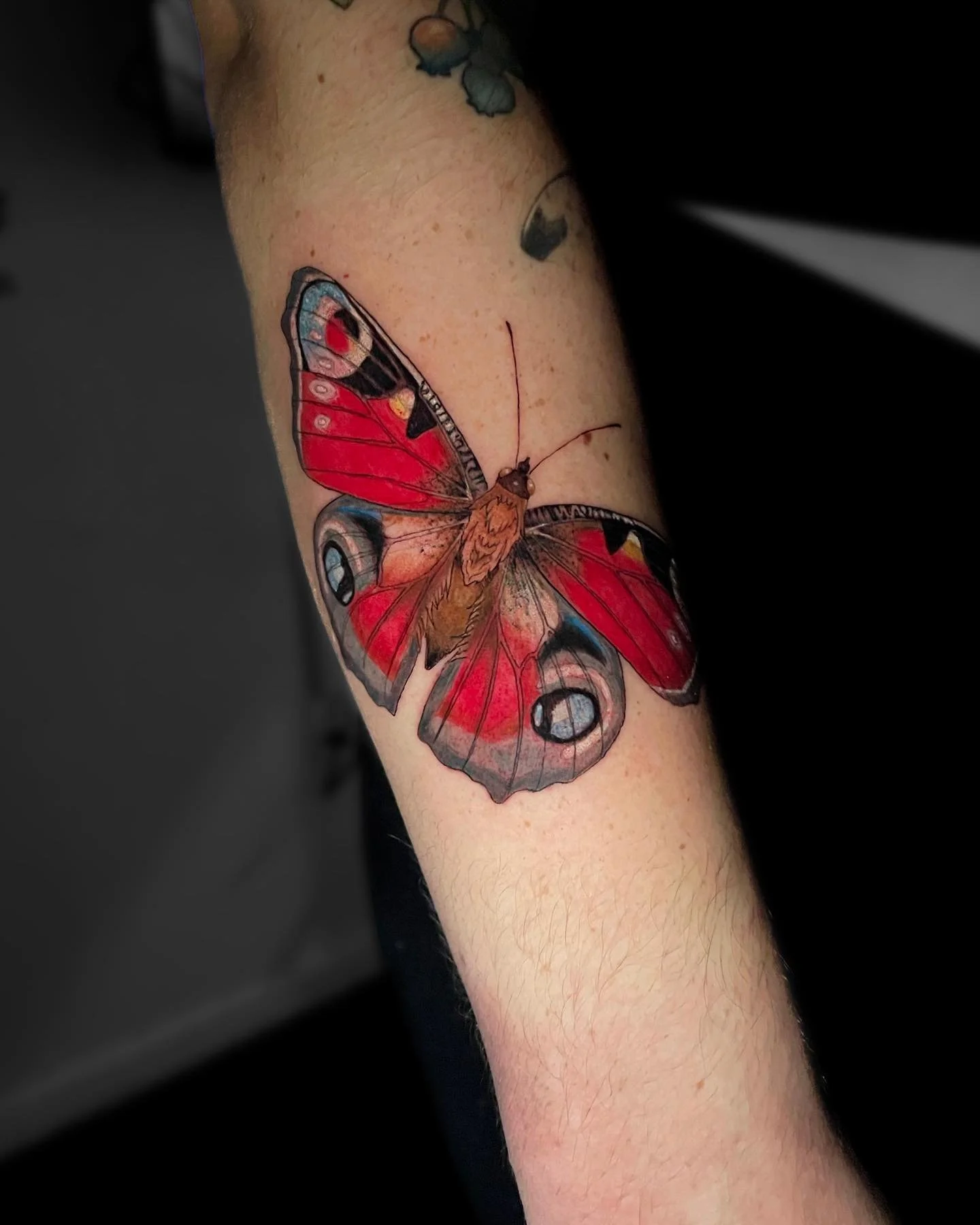 Peacock butterfly 🦋
.
.
.
#tattoo #njtattooartist #njtattoo #colortattoo #butterflytattoo #femalenjtattooartist