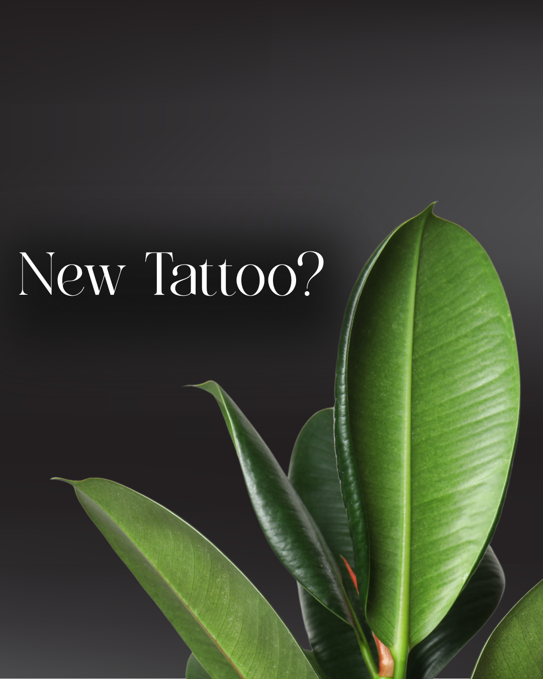 A close-up of green plant leaves with the text "New Tattoo?" on a dark background.