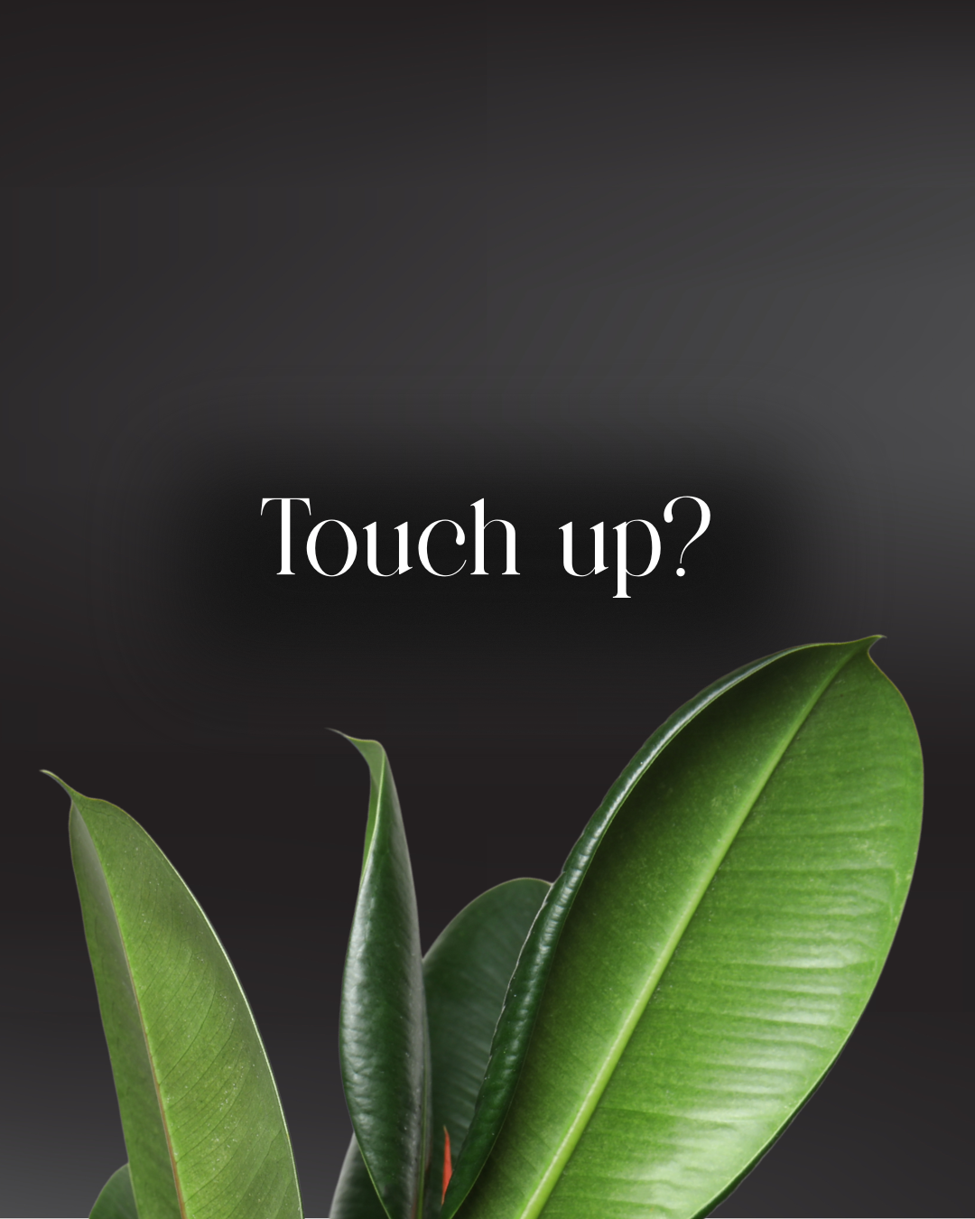 A dark background with green plant leaves at the bottom and the text 'Touch up?' in the center.