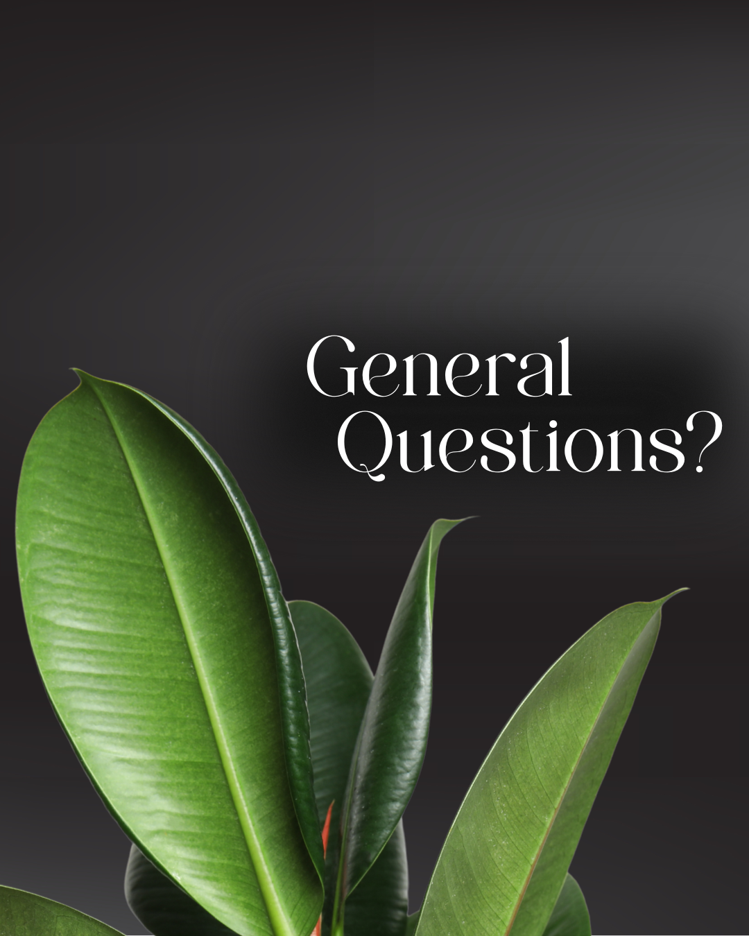 A black background with green plant leaves and white text that says 'General Questions?'