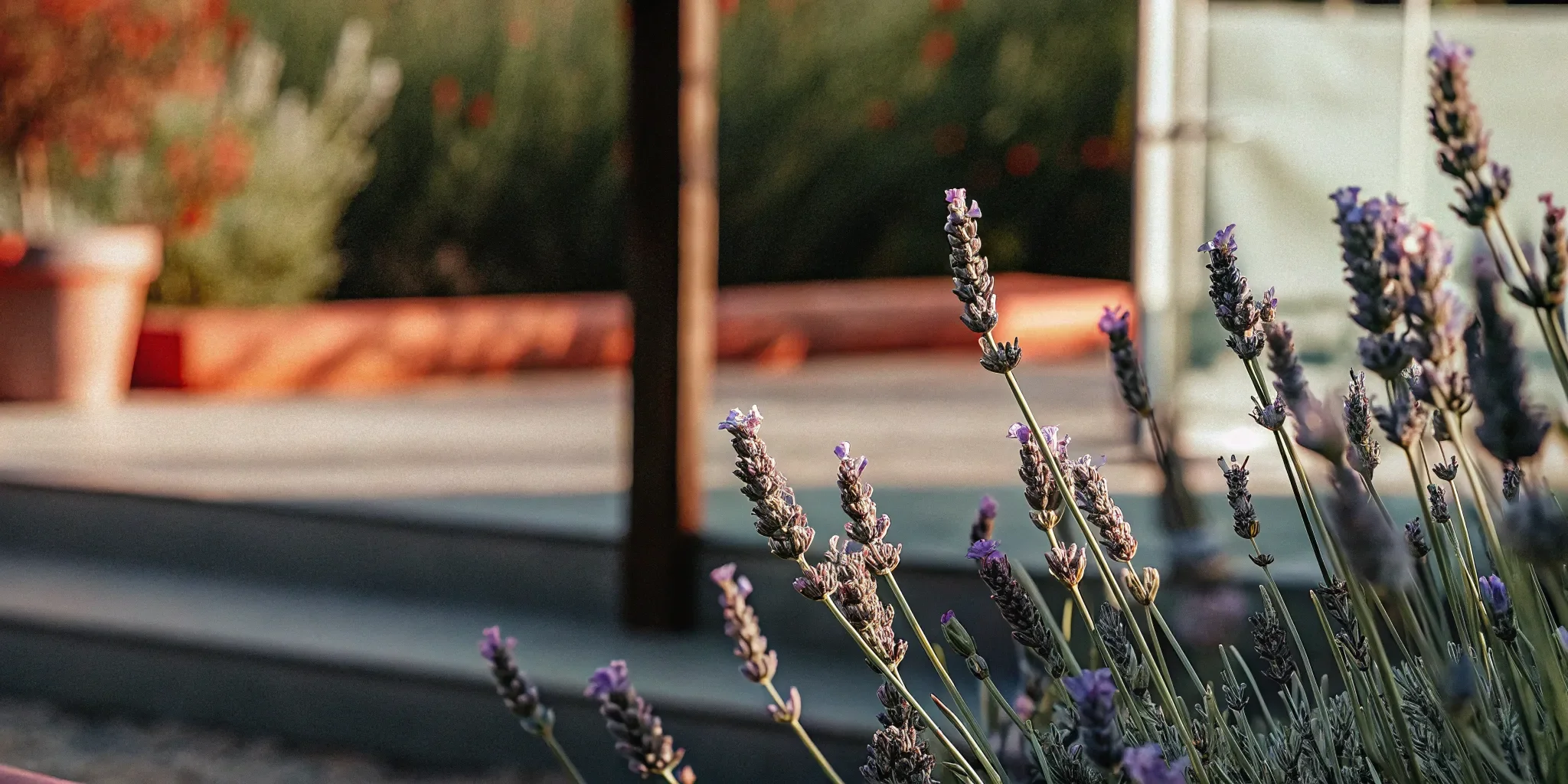 Remisión del cáncer testicular: una historia de esperanza y curación