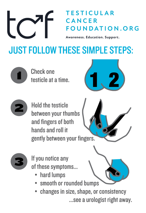 How to Perform a Testicular Self-Exam | TCF — Testicular Cancer Foundation