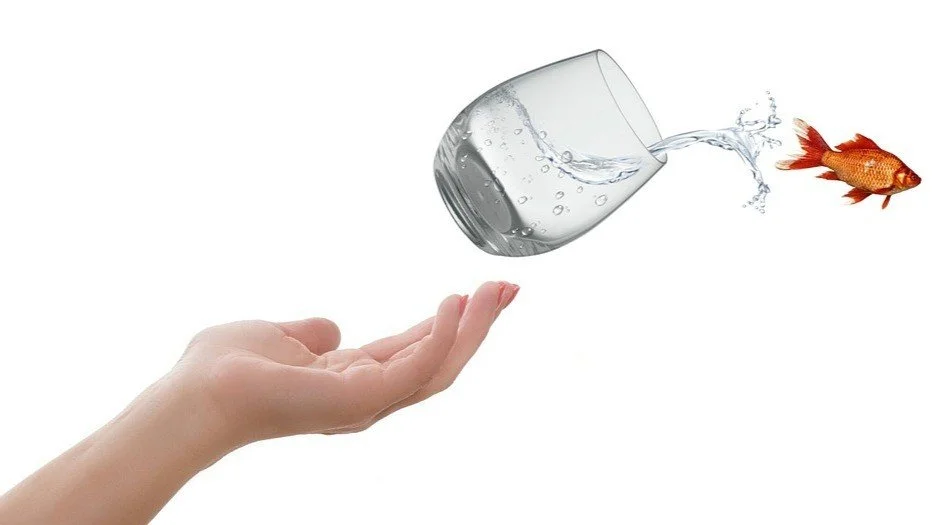 A hand beneath a tilted glass of water with a goldfish jumping out of the water.