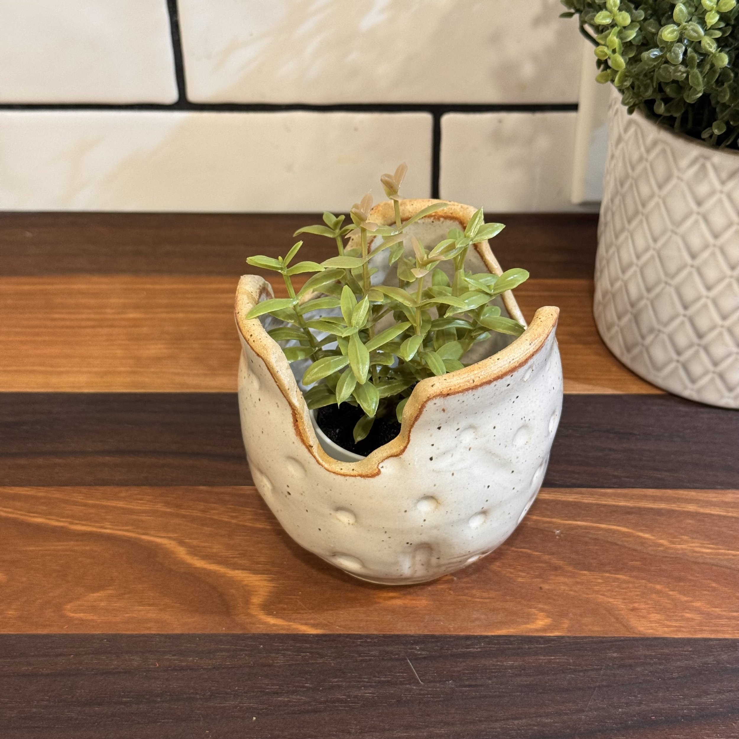 Wenatchee Succulent Pot