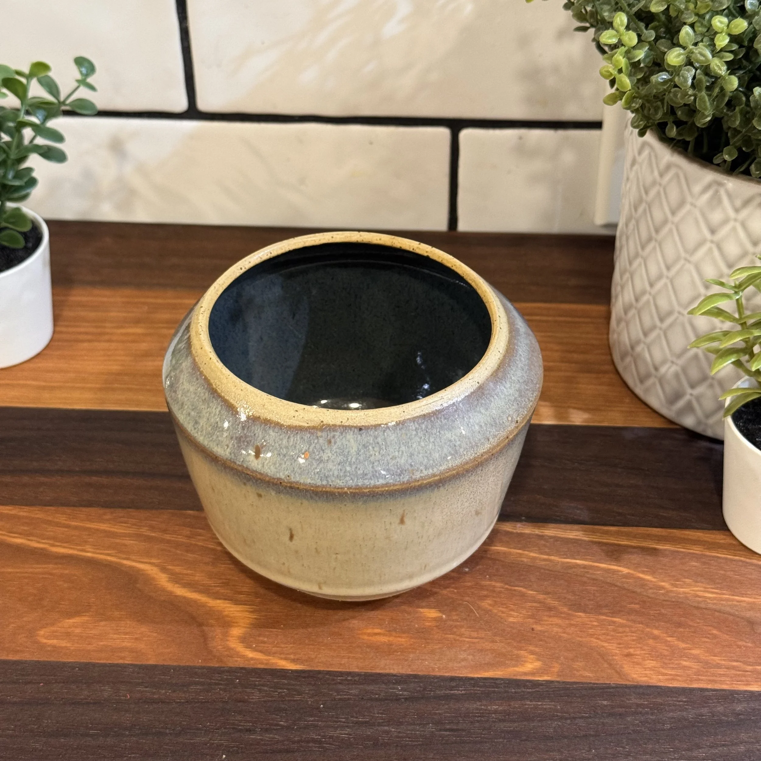 Dry Falls Cactus Pot