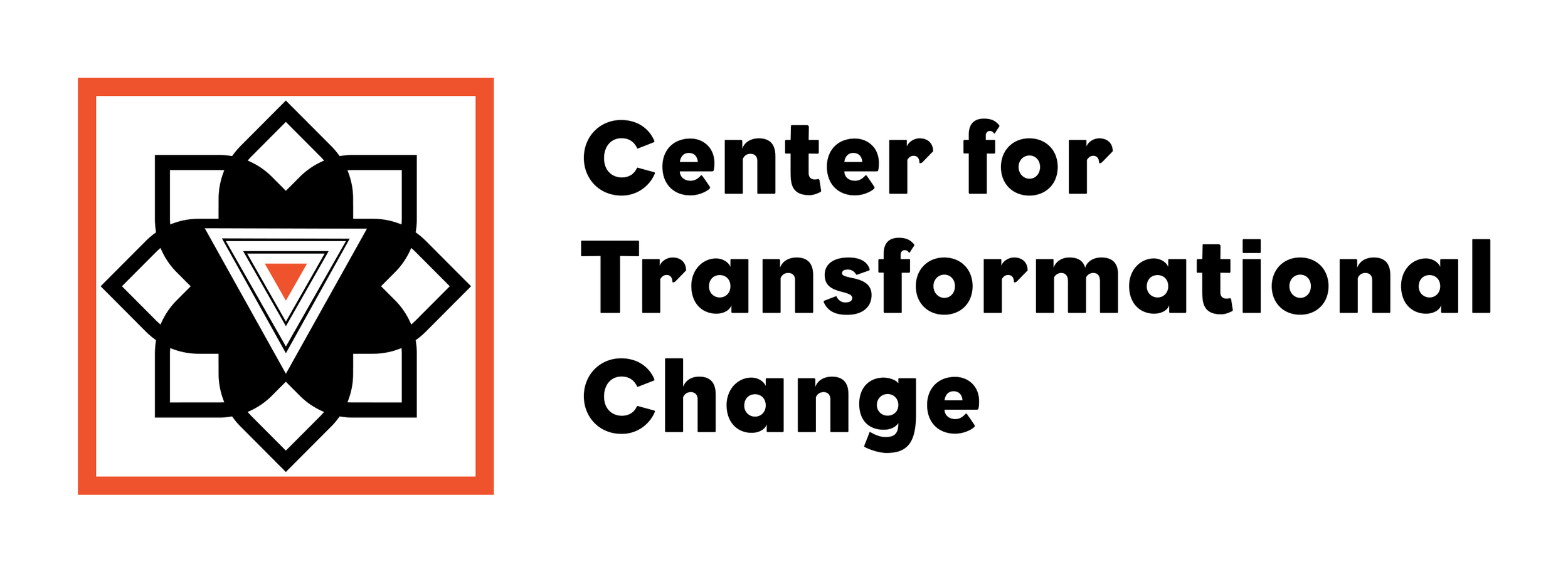 Center for Transformational Change Logo