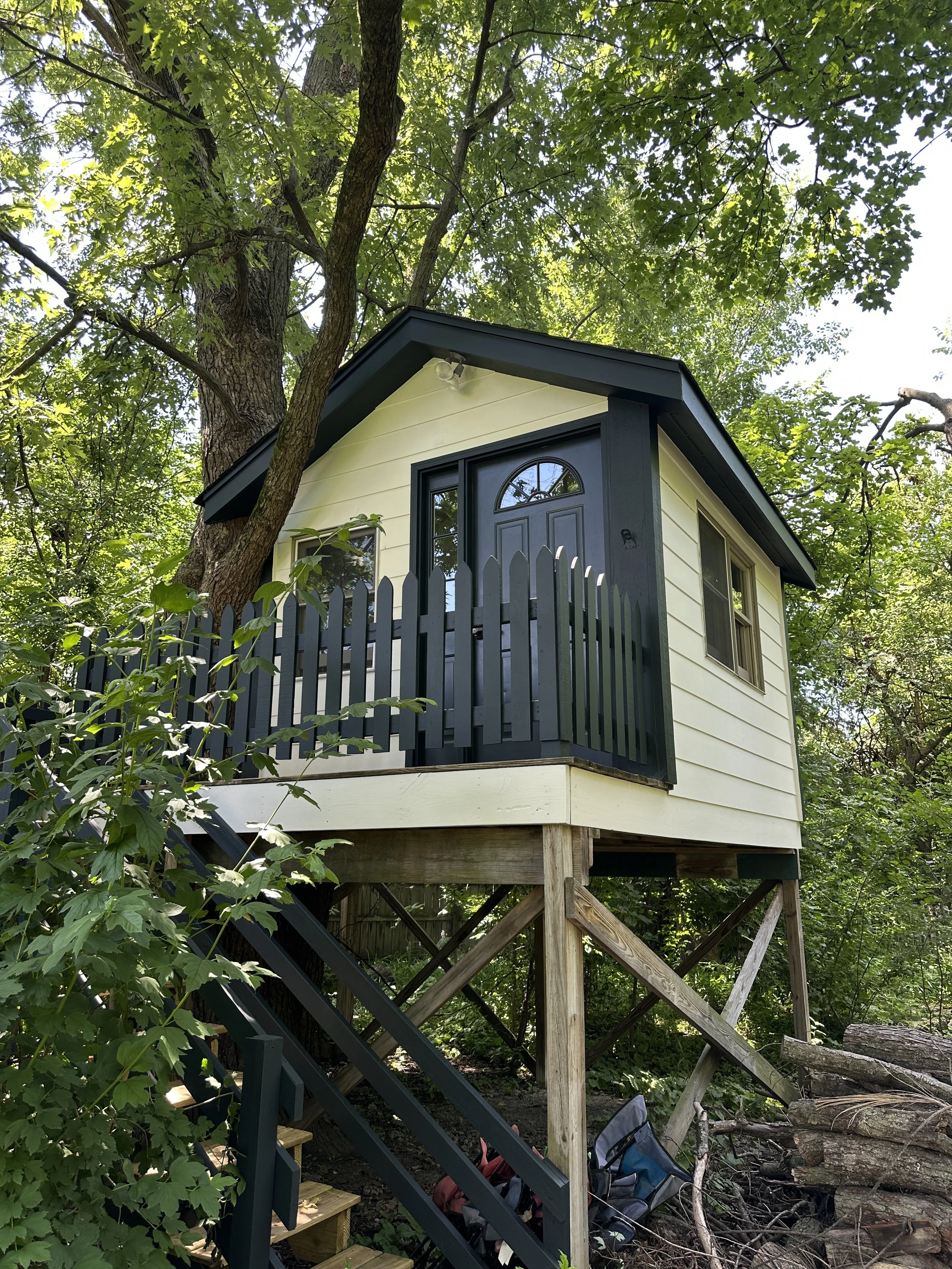 A small treehouse on stilts with a black door and windows, surrounded by lush green trees and foliage.