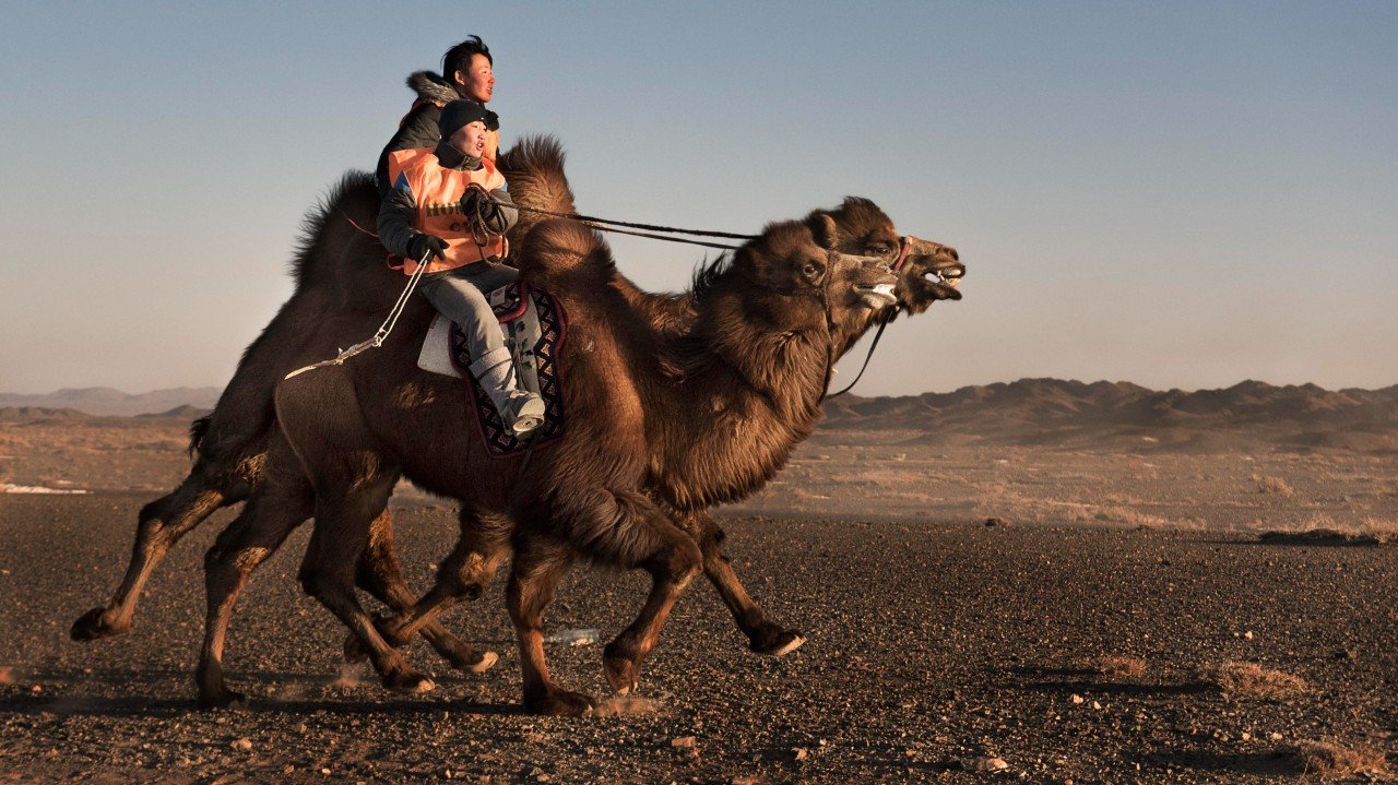 Bridging the Gap: Why the Nature Positive Landscapes Initiative Exists