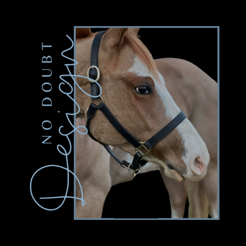 Close-up of a light brown and white horse wearing a black halter, with a dark background and a light blue square border, along with the business name 'No Doubt Design' written vertically.