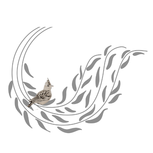 Illustration of a small bird perched on a curved, leafy vine with a black background.