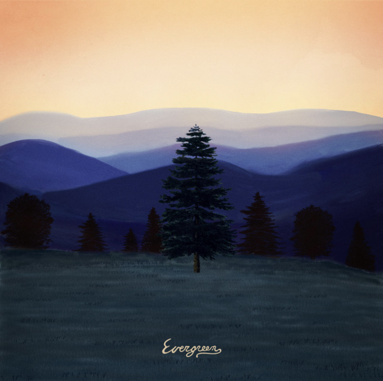 Evergreen - Thomas Austin (Keyboards)