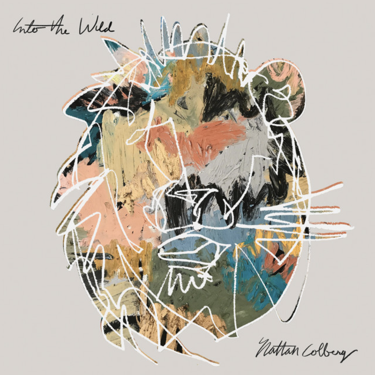 Into the Wild - Nathan Colberg (Acoustic Guitar)