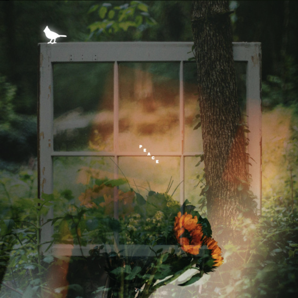 Peace - Thomas Austin/Chris Renzema (Keyboards)