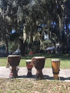 Three drums of varying sizes and colors positioned on a sidewalk in front of a grassy area with hanging mossy trees.