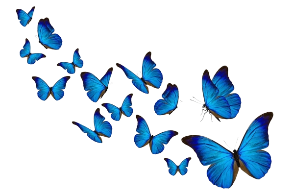 Multiple blue butterflies flying in various sizes in a scattered pattern.