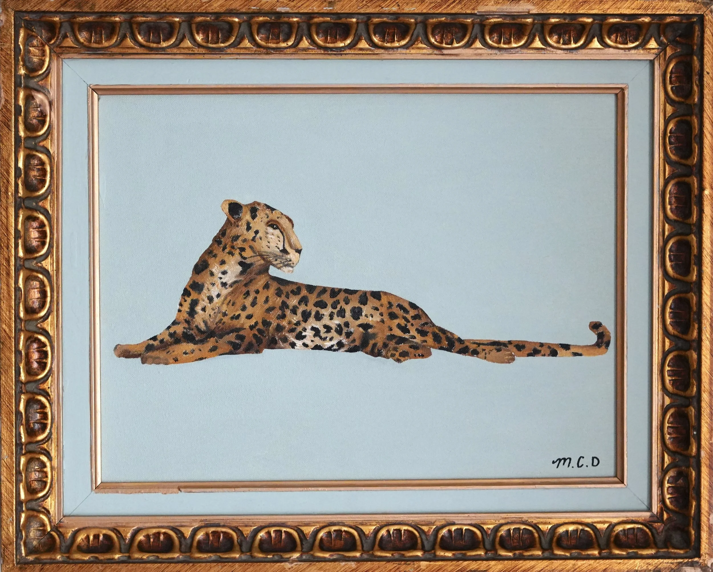 Leopard