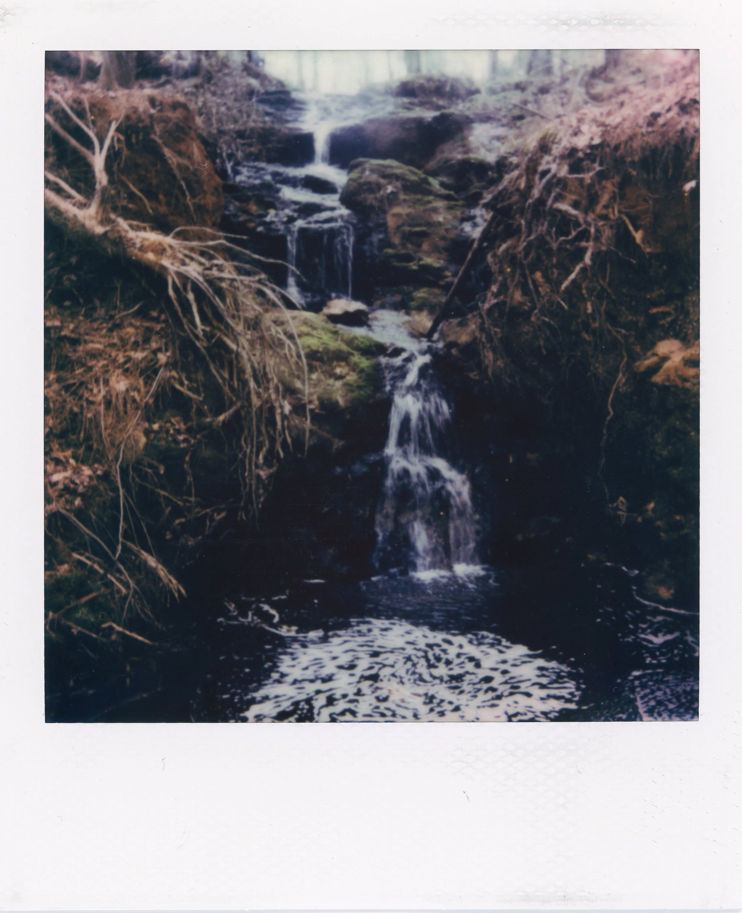 Small waterfall flowing over rocks in a forested area, with roots hanging from the sides.