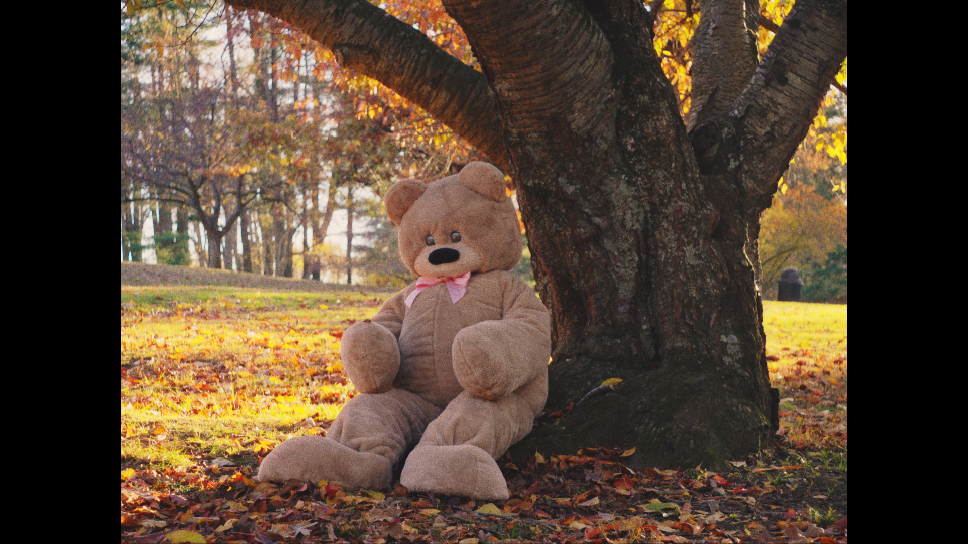 Ava Under the Tree.png