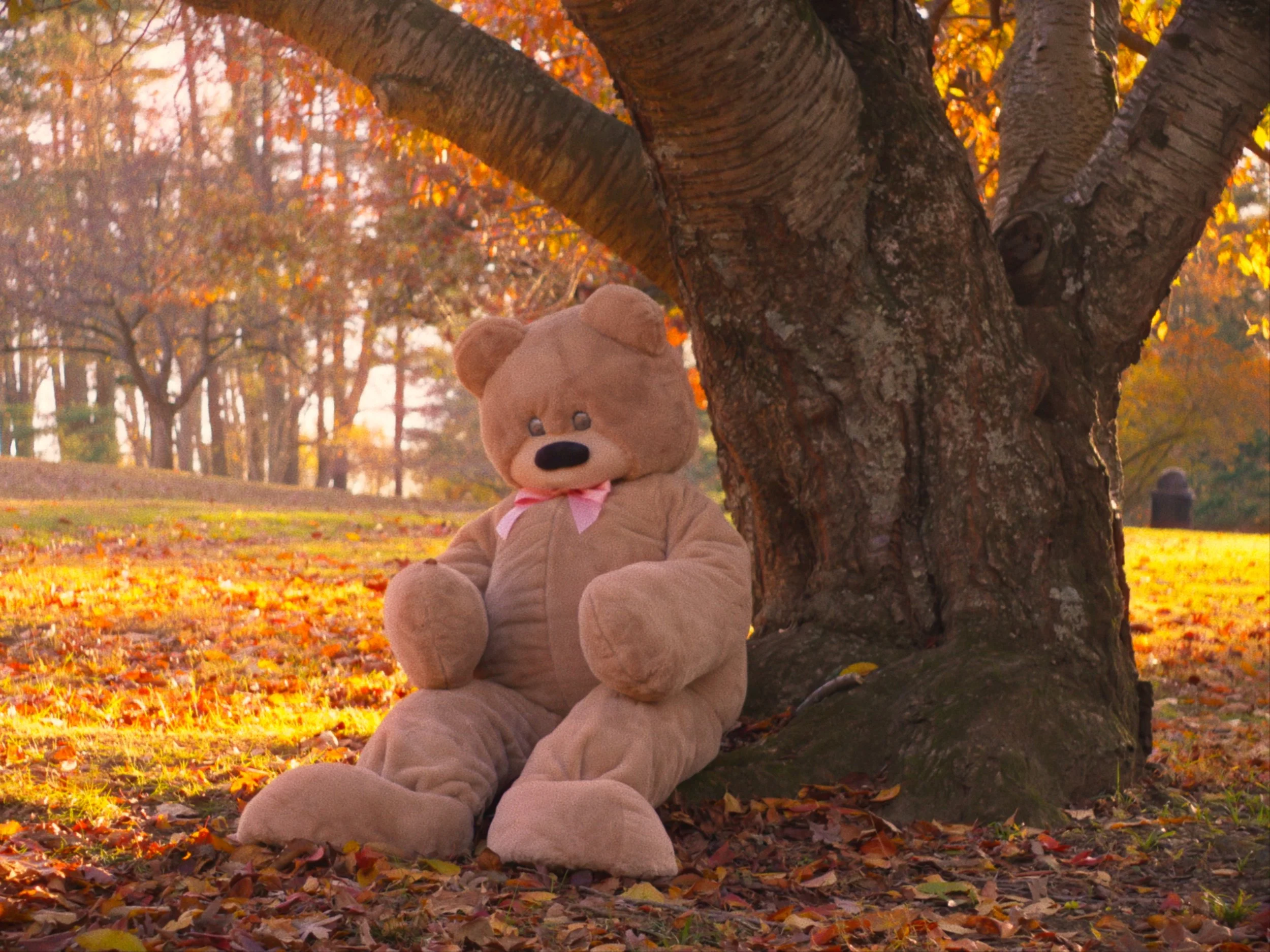 FINAL MOVIE_01_18_09_20.jpg