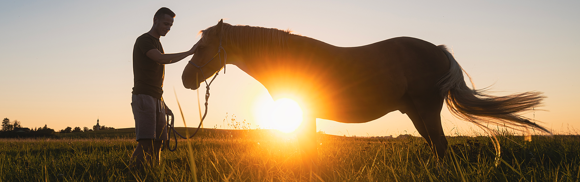 A man with dark hair is petting a brown horse in a grassy field during sunset, with the sun low on the horizon and the sky clear.