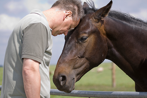 A man and horse touching foreheads in a pasture.
