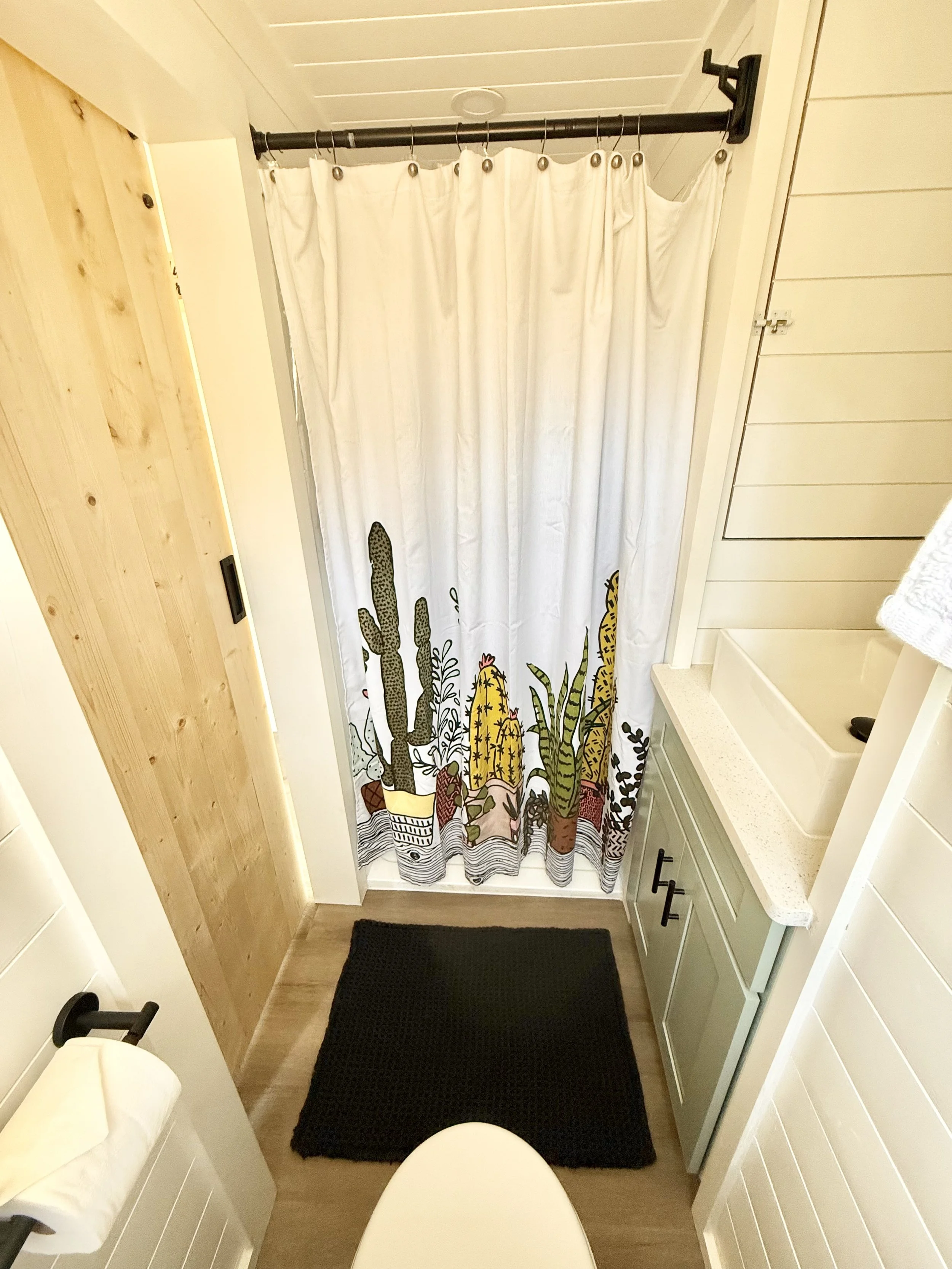 A shower with a curtain featuring cacti and succulents, a quartz countertop with a built-in sink, and a mint green cabinet below. A toilet is visible at the bottom of the image, and a toilet paper dispenser to the left.