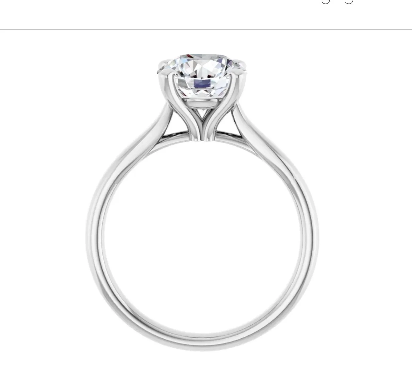 Image 3-19-26 at 6.25 PM.jpg