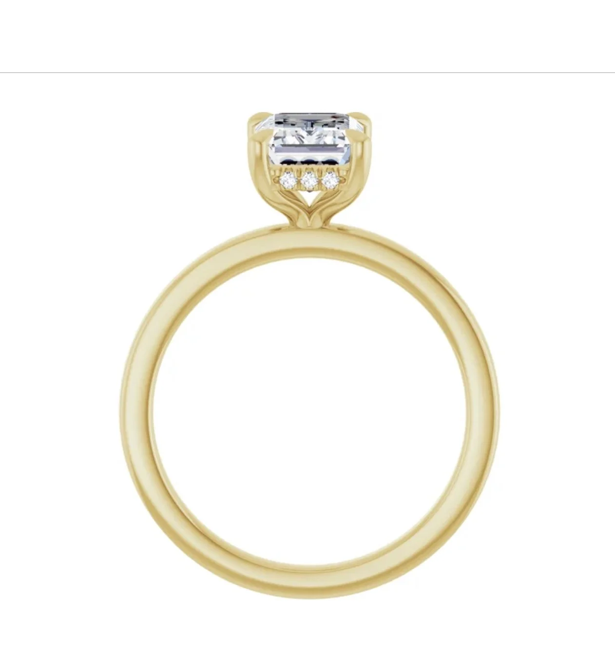 Image 3-24-26 at 1.03 PM (1).jpg