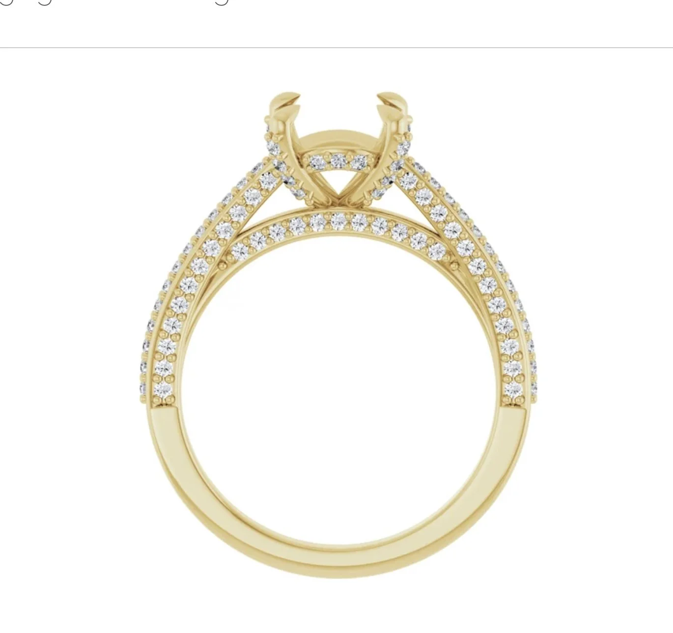 Image 3-24-26 at 1.49 PM (1).jpg