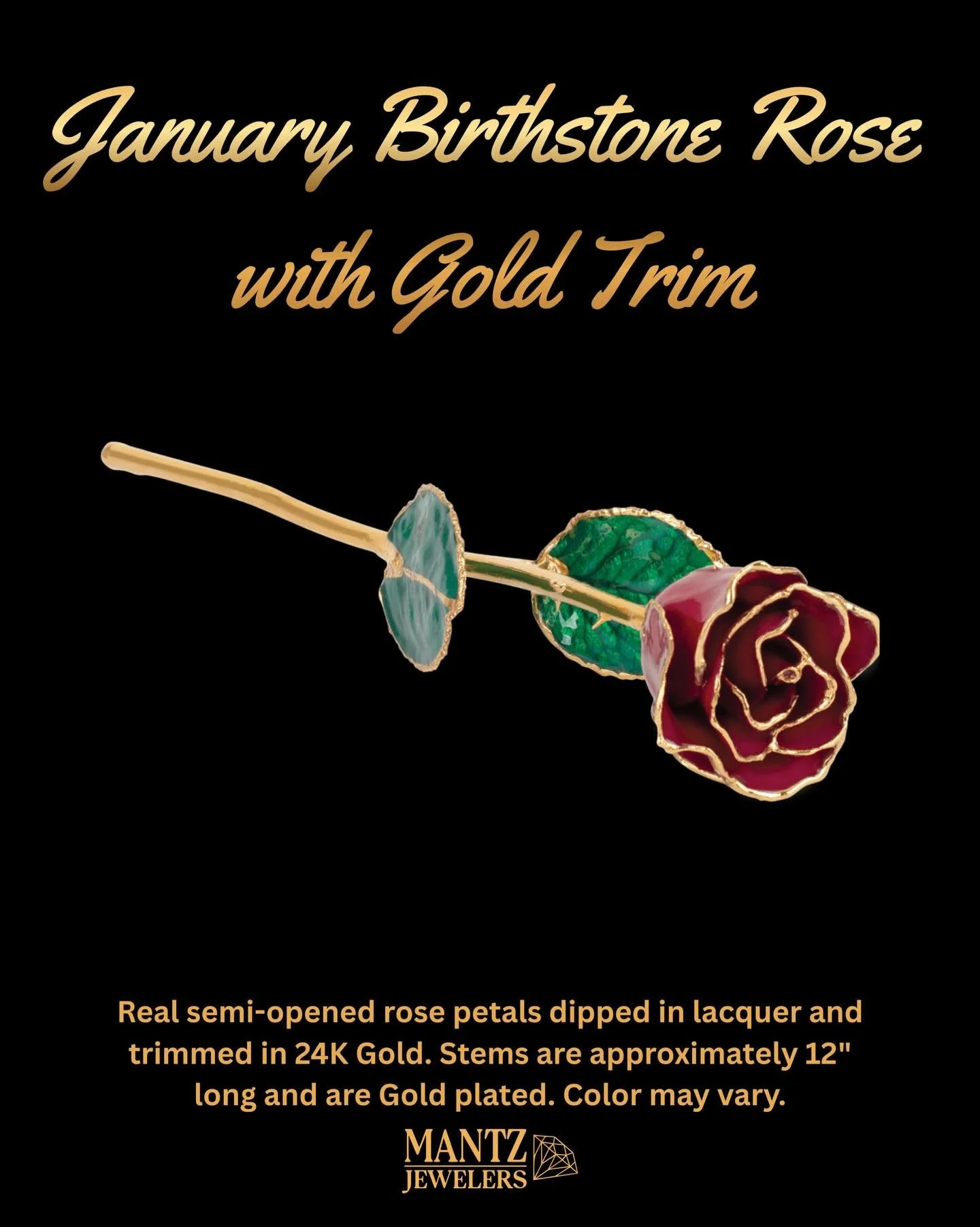 🌹✨ January Birthstone Rose ✨🌹
Perfect for Valentine&rsquo;s Day too 💘💫
Real rose petals &bull; 24K gold trim &bull; A love that lasts forever 💖
#valentinesday#januarybirthstone#mantzjewelers#northjerseyjewelry