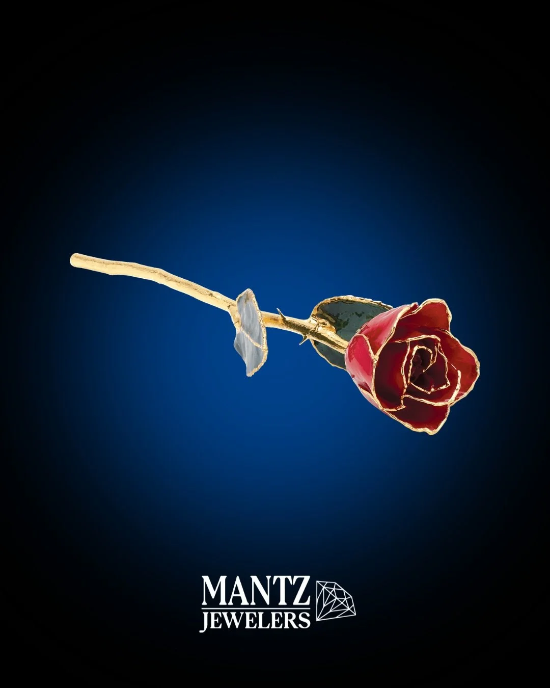 Flowers die. This one doesn&rsquo;t.
Real rose. 24k gold trim. Certified. High Quality.
Mother&rsquo;s Day is coming&mdash;get her something that lasts 🌹 #mantzjewelers #mothersday #24k #gold #rose