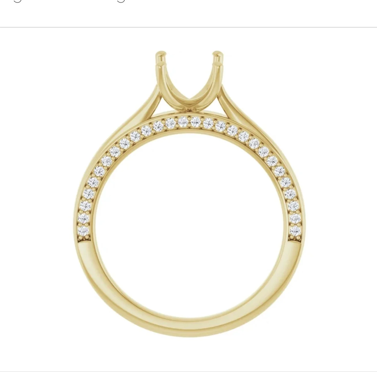 Image 3-24-26 at 1.42 PM.jpg