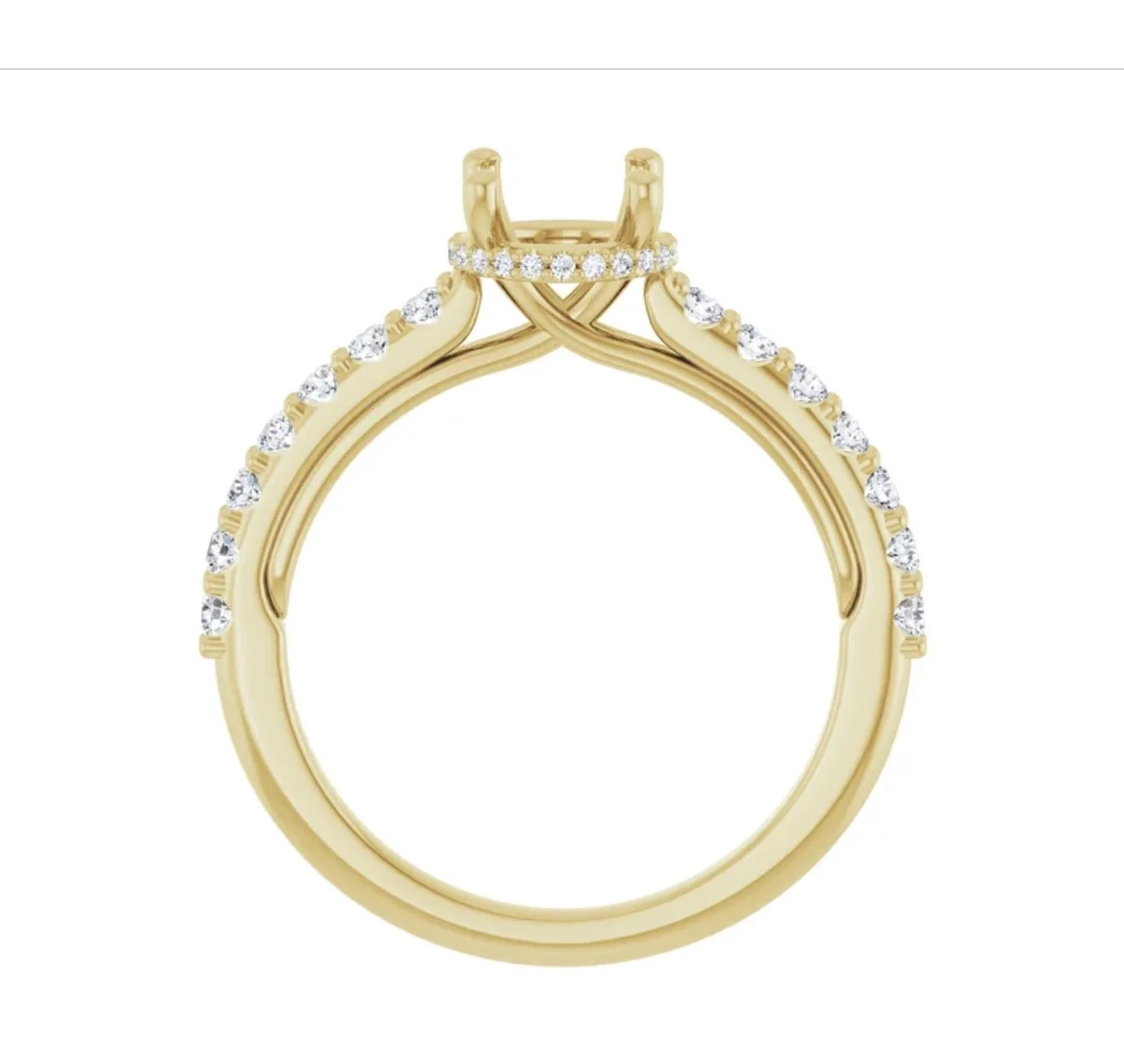 Image 3-24-26 at 1.13 PM (1).jpg