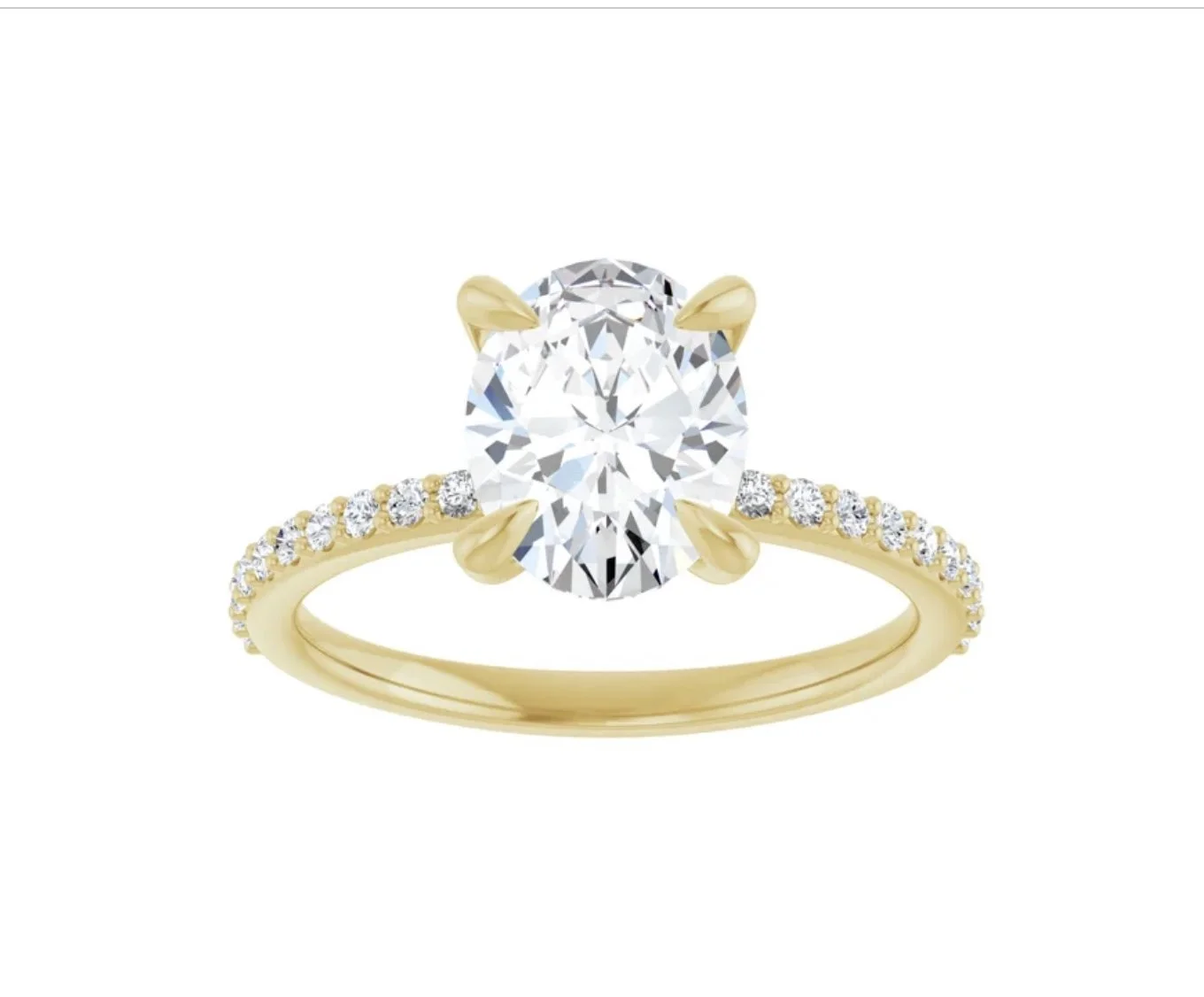 Image 3-19-26 at 6.38 PM (1).jpg